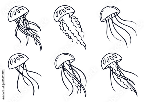 Collection of six hand drawn jellyfish illustrations in outline style