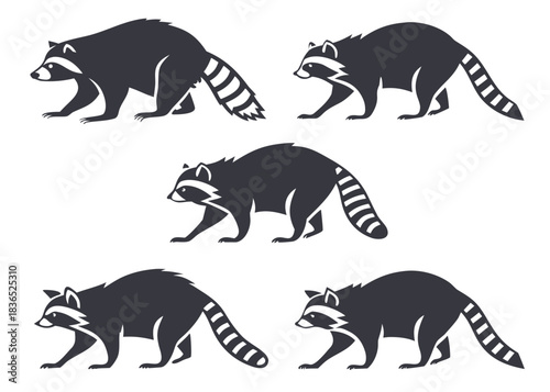 Set of five raccoon silhouettes in different poses