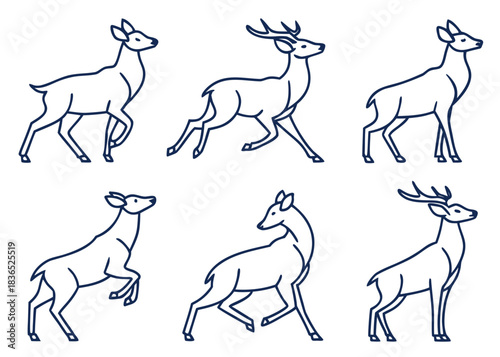 Collection of stylized deer illustrations in various poses and outlines