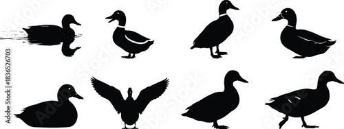 Silhouette collection of ducks in various poses on a white background