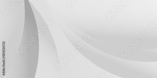 Gray tone color and white color and black color background abstract art vector. eps10