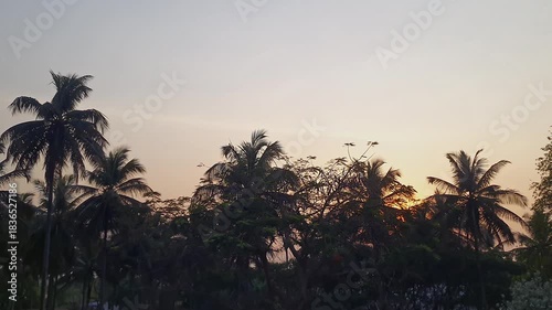 A stunning view showcasing the vibrant colors of sunset spreading across the sky