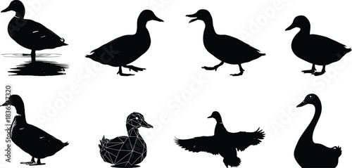 Silhouette collection of ducks in various poses on a white background