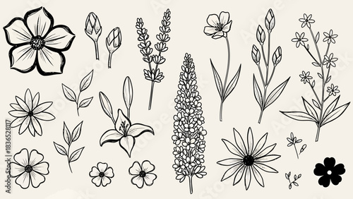 Abstract geometric design with lines and curves in rgb color model for creative projects