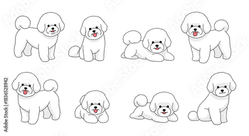 Collection of cute Bichon Frise dog characters in various poses, including sitting, standing, and lying down, on a white background.