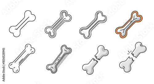 Set of bone icons in different styles, including outline, solid, and colored, showing a whole bone, cross-section, and a fracture.