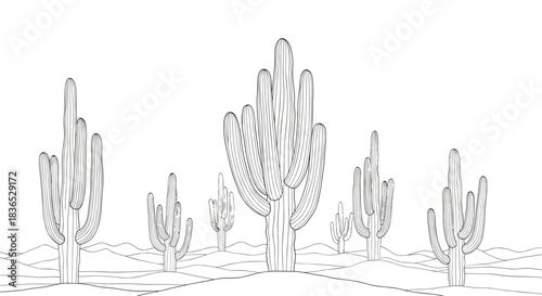 Monochrome line art illustration of a vast desert landscape populated with several detailed and stylized saguaro cacti plants.
