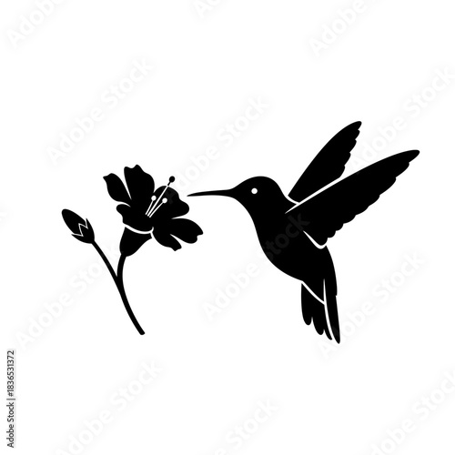 Silhouette of a hummingbird hovering near a blooming flower, isolated on white background