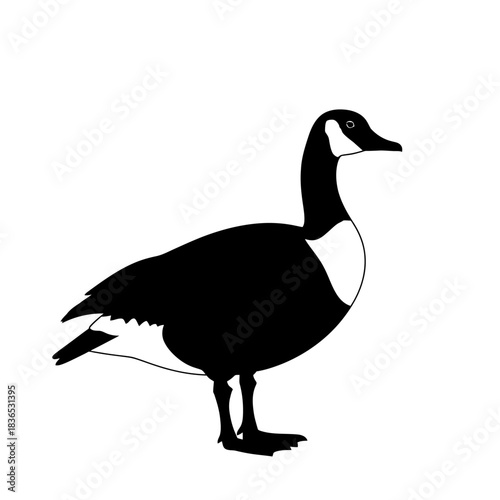 Black and white silhouette illustration of a canada goose standing isolated on white background