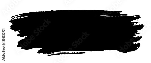 Texture of a paint brush