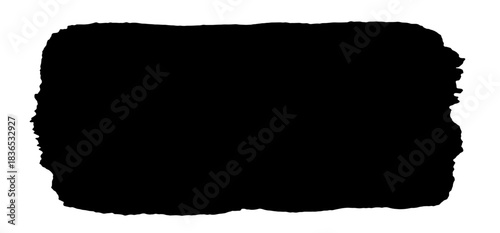 Texture of a paint brush