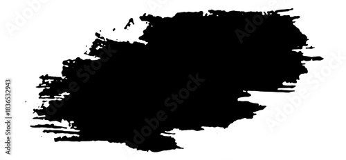 Texture of a paint brush