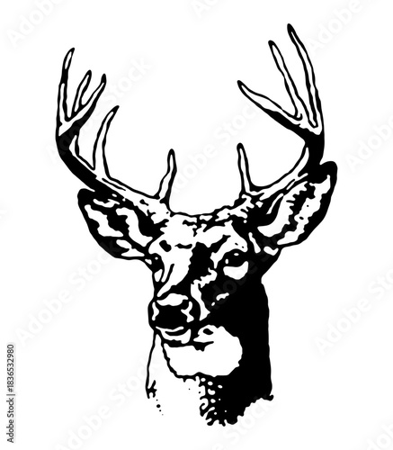 Vector illustration of an reindeer black and white high contrast sticker print design
