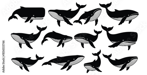 Collection of whale silhouettes swimming in various positions on a white background