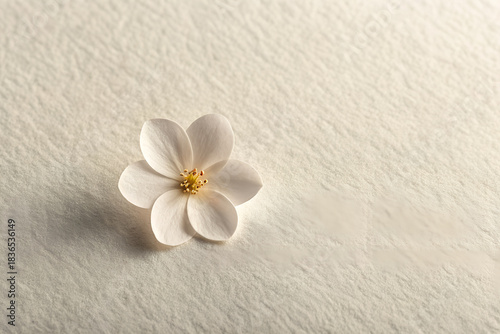 White Cotton Paper With Floral Decoration