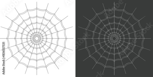 Spider Web Graphic on White and Dark Gray Backgrounds Keywords: spider web, cobweb, web, spider, insect, nature, creepy