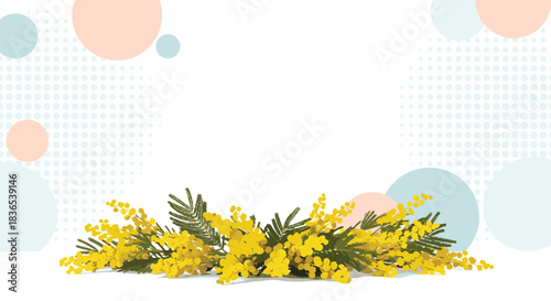 A delicate spray of yellow mimosa flowers rests on a white surface with soft pastel circles and a dotted background.