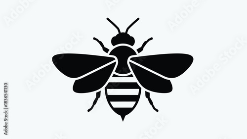 A striking black and white bee illustration with a defined silhouette