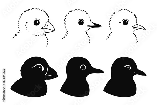 Chick head designs: outline, line, silhouette styles for creative projects