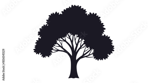 A striking black tree form against a white backdrop silhouette