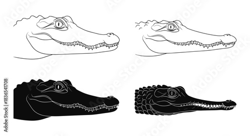 Alligator head silhouette and outline illustrations in black and white