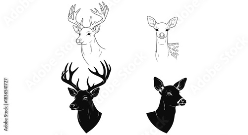 Black and white deer silhouettes and line art set for design projects