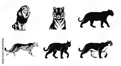 Silhouette wild cats set: lion, tiger, panther, cheetah, lynx, cougar
