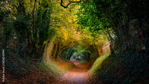 Autumn colours on Windmill Lane, Halnaker, West Sussex