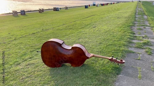 Beautiful double bass lying on grassy beach at wadden sea near Buesum in Schleswig Holstein