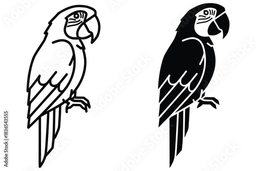 Stylized Parrot Outline and Silhouette macaw bird