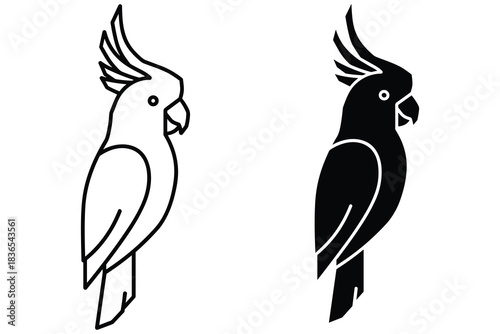 Cockatoo Bird Outline and Silhouette on White Background Keywords: cockatoo, bird, parrot