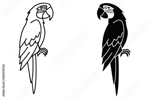 Stylized Parrot Outline and Silhouette macaw bird