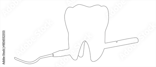tooth on a white background continuous one line art vectors illustration
