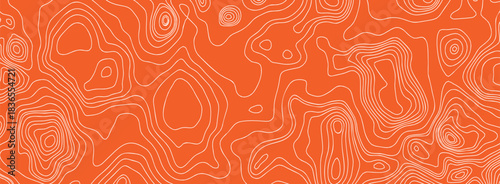 Salmon pattern sushi and meat tuna texture with fish abstract wood. Lines restaurant cosmetic and fillet seafood pink with japanese background sashimi. Gradient salmon sardine and raw meat.