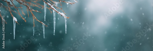 Branch covered in icicles is shown against a blue sky