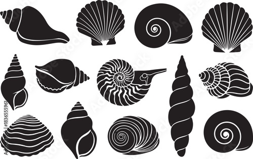 Collection of black seashell silhouettes on white background