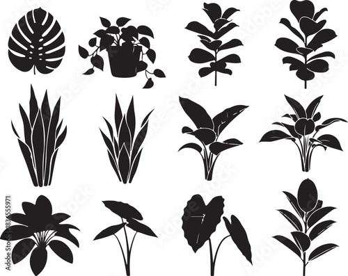 Collection of black silhouette houseplants and leaves