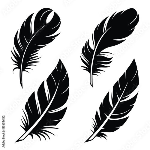 Four black feather plume shapes appear striking and elegant against a simple white backdrop