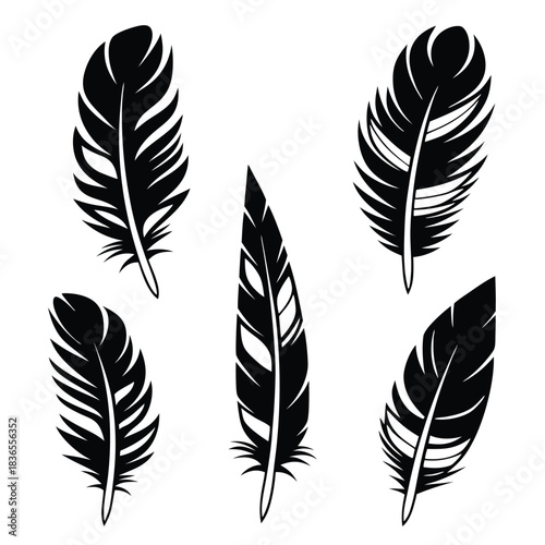 Five black feathers, each with unique shapes and distinct patterns, are displayed against a white surface