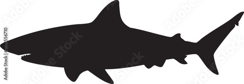 Shark silhouette icon isolated on white background