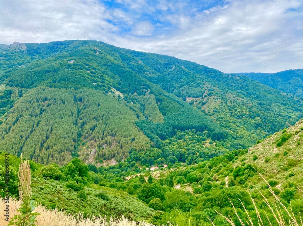 custom made wallpaper toronto digitallandscape in the mountains