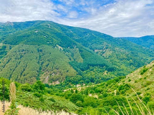 Wallpaper Mural landscape in the mountains Torontodigital.ca