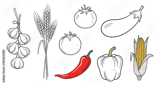 Hand-drawn collection of fresh farm vegetables and grains, including garlic, wheat, tomatoes, and peppers in a sketch style.