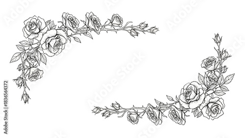 Elegant rose floral frame in black and white for wedding invitation designs and cards