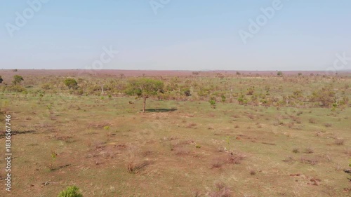 Aerial View of Vast Dry Landscape with Sparse Trees