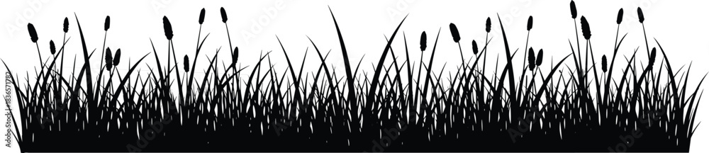 Fototapeta premium Grass silhouette border with wild reeds and cattails isolated on white background, natural black meadow vector illustration design