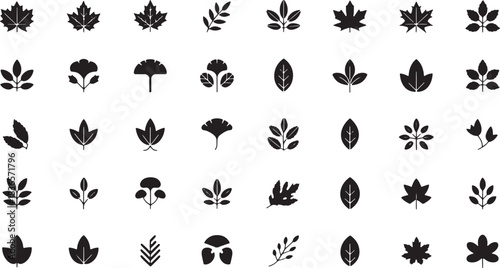 Collection of stylized black leaf and plant silhouettes