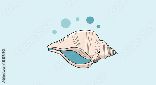 Beautiful hand-drawn illustration of a seashell with delicate line work, set against a soft blue background with floating bubbles.