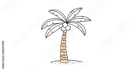 A simple and charming hand-drawn illustration of a single palm tree with coconuts on a small patch of sand, in a doodle style.