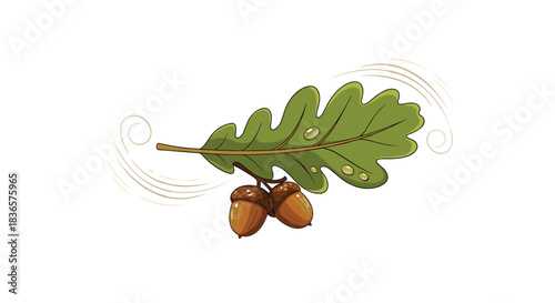 Detailed illustration of a green oak leaf with two brown acorns and water droplets, surrounded by gentle swirls of wind art.